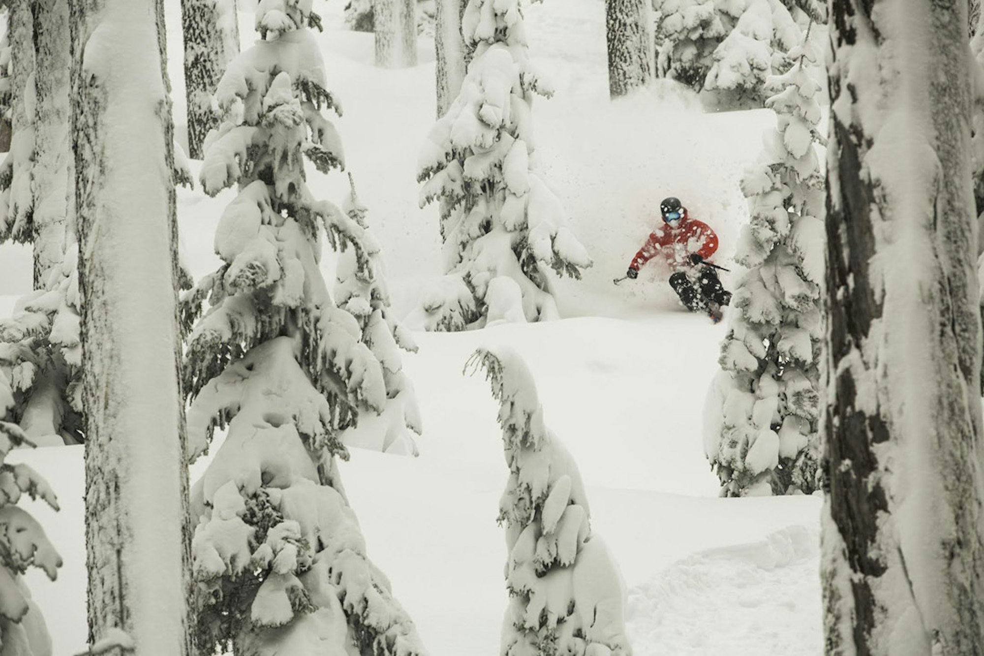 Pow lap with Sage Cattabriga-Alosa, Mark Abma and John Collinson, anyone?