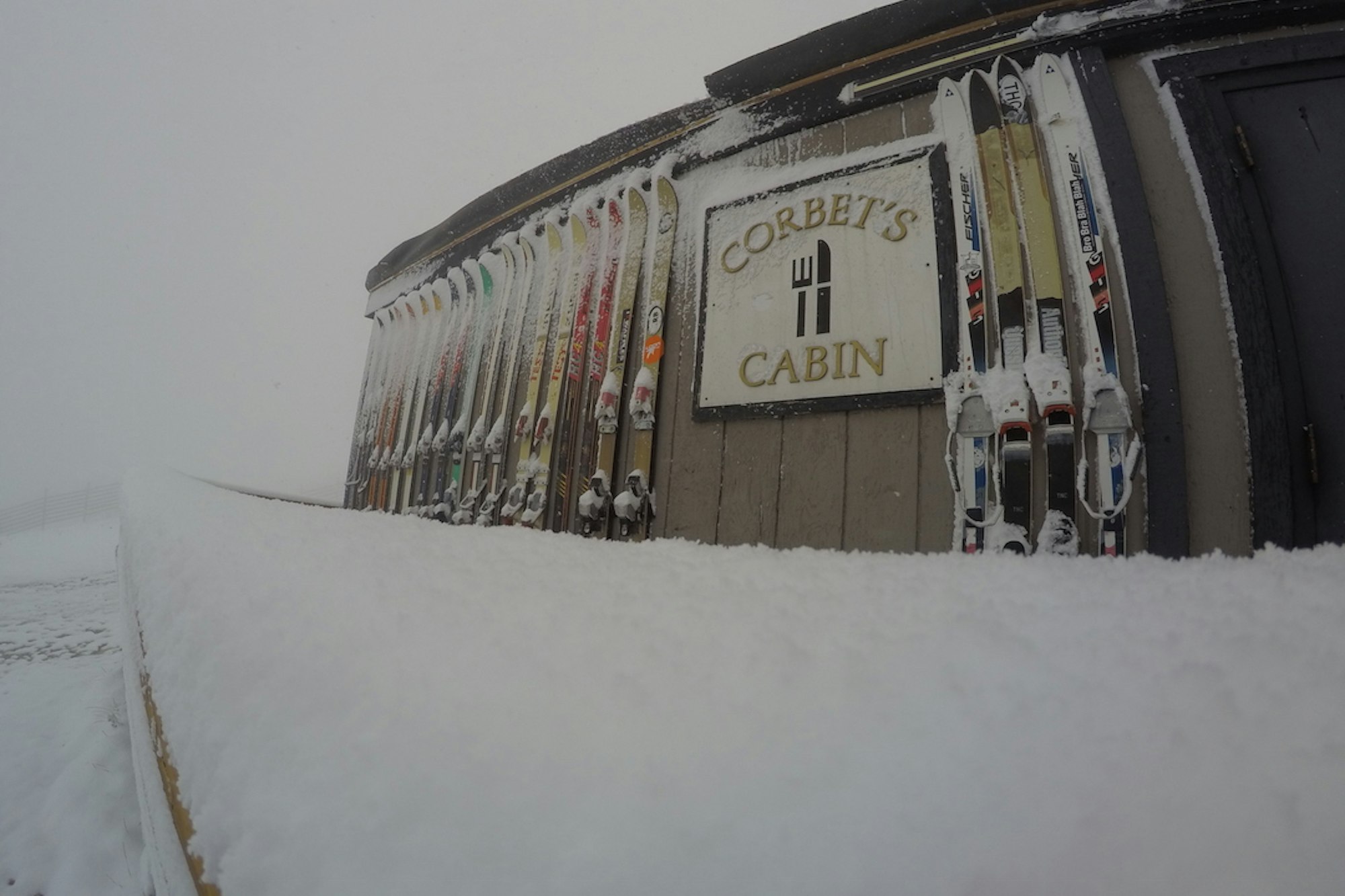 Jackson Hole got some September snow—15 photos to prove it