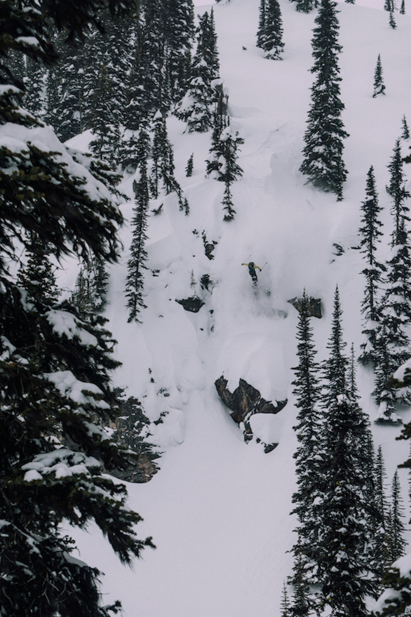 Vice Versa Promo Photo_15-03-44_DSC06901_@GoodCompanySki_Rich copy