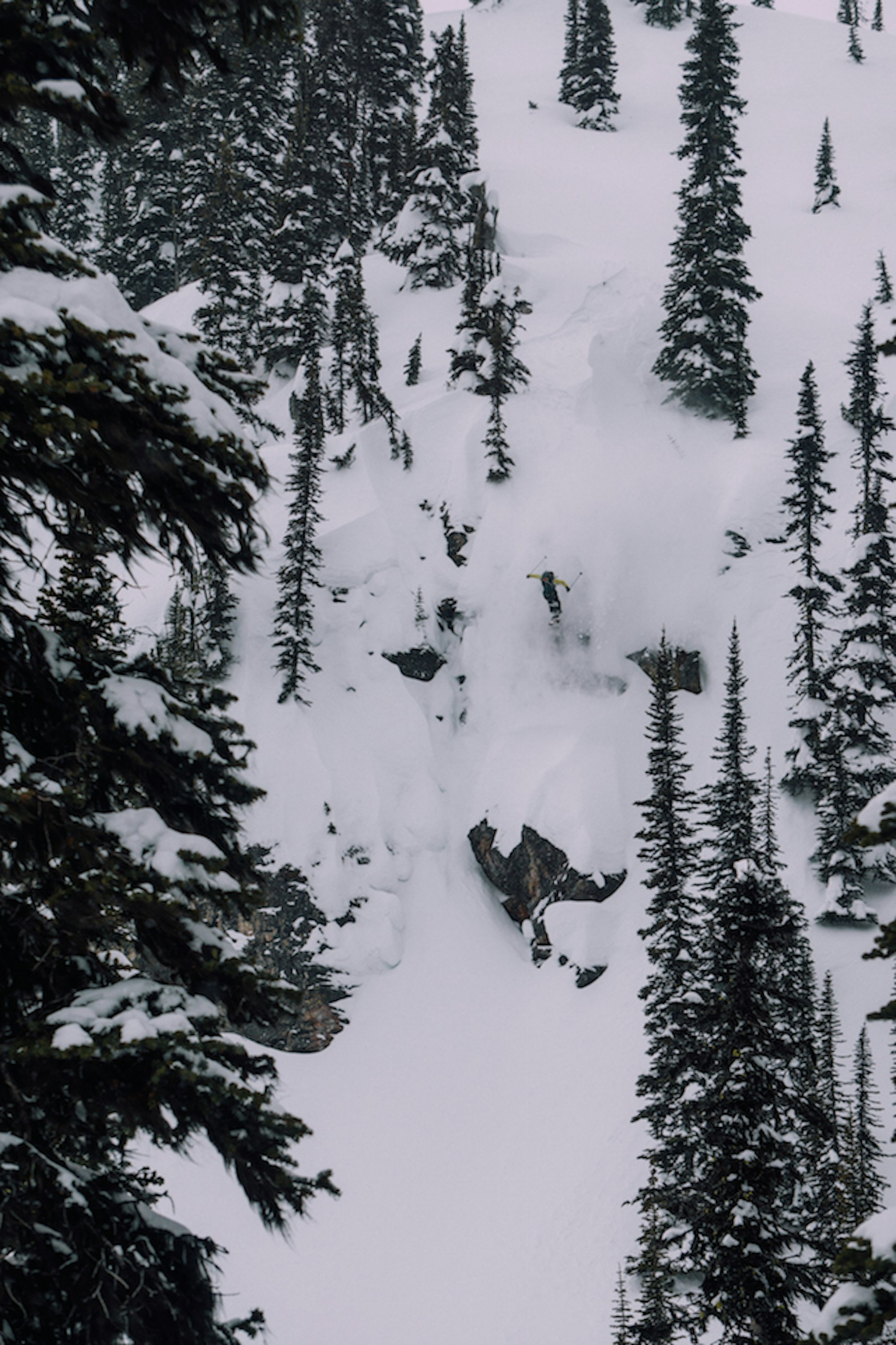 Vice Versa Promo Photo_15-03-44_DSC06901_@GoodCompanySki_Rich copy