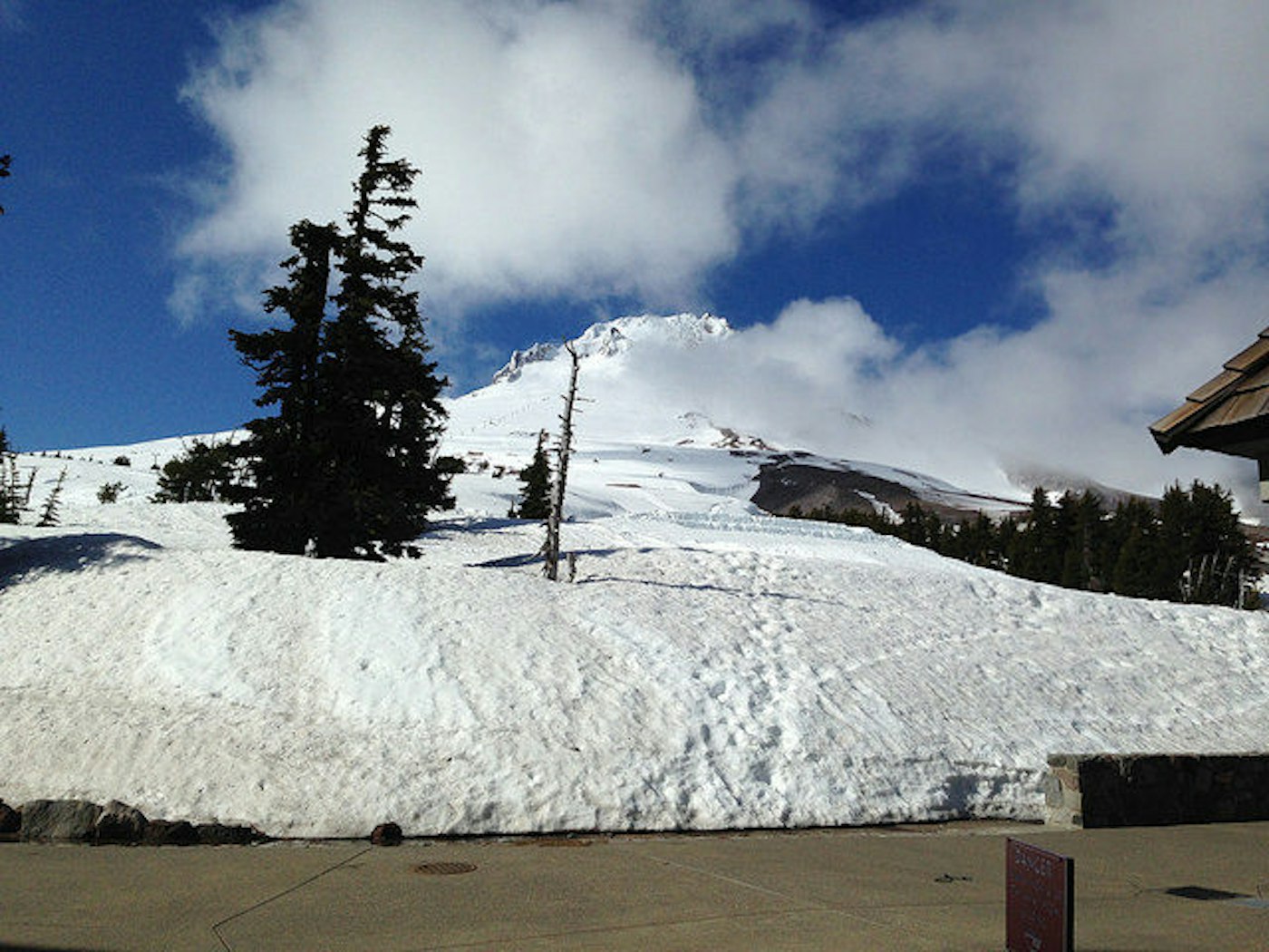 Timberline_ptjoe12000