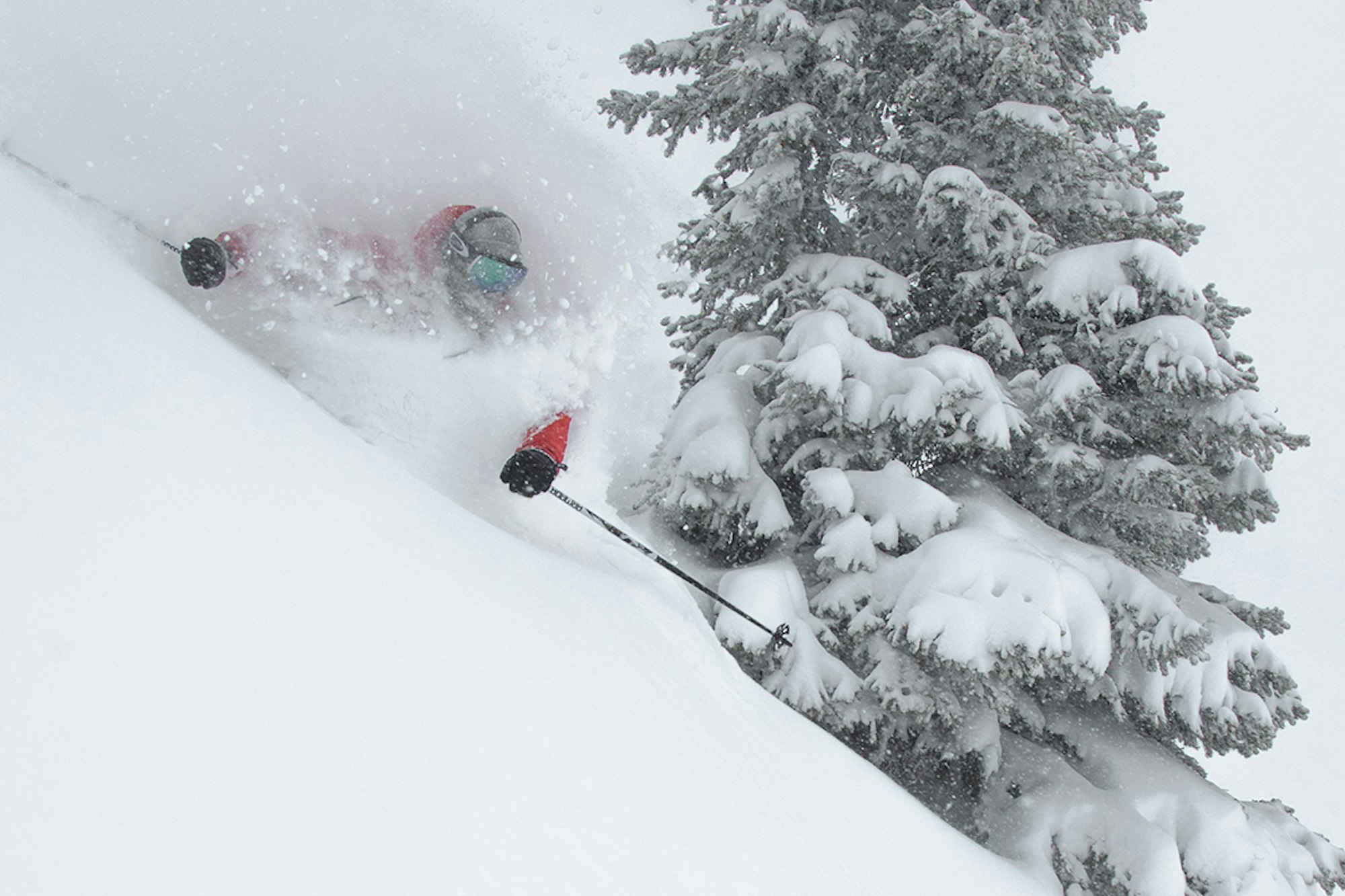 Telluride and Revelstoke join the Mountain Collective Pass for 2016-17 season