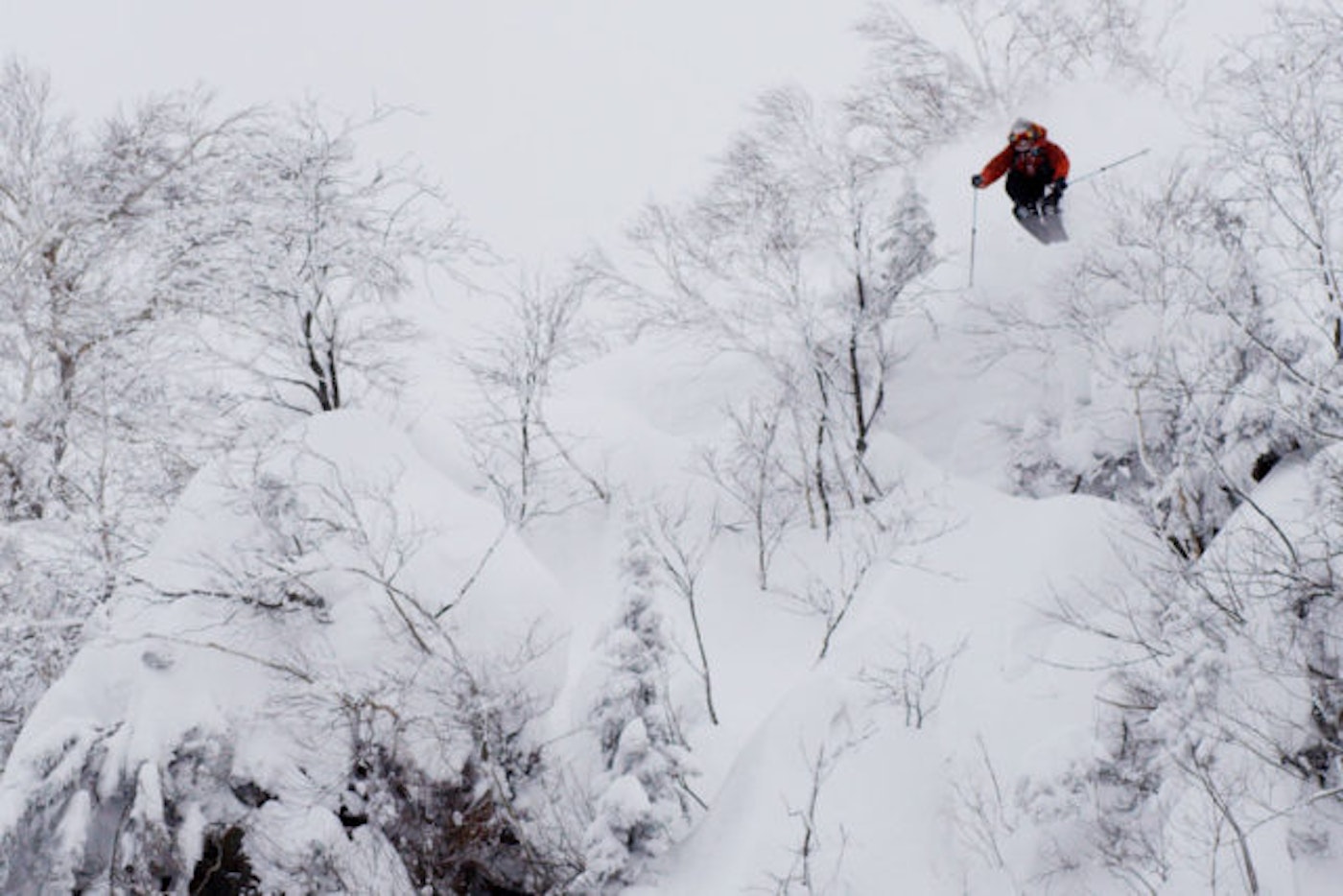 DPS_Dreamtime_Featured