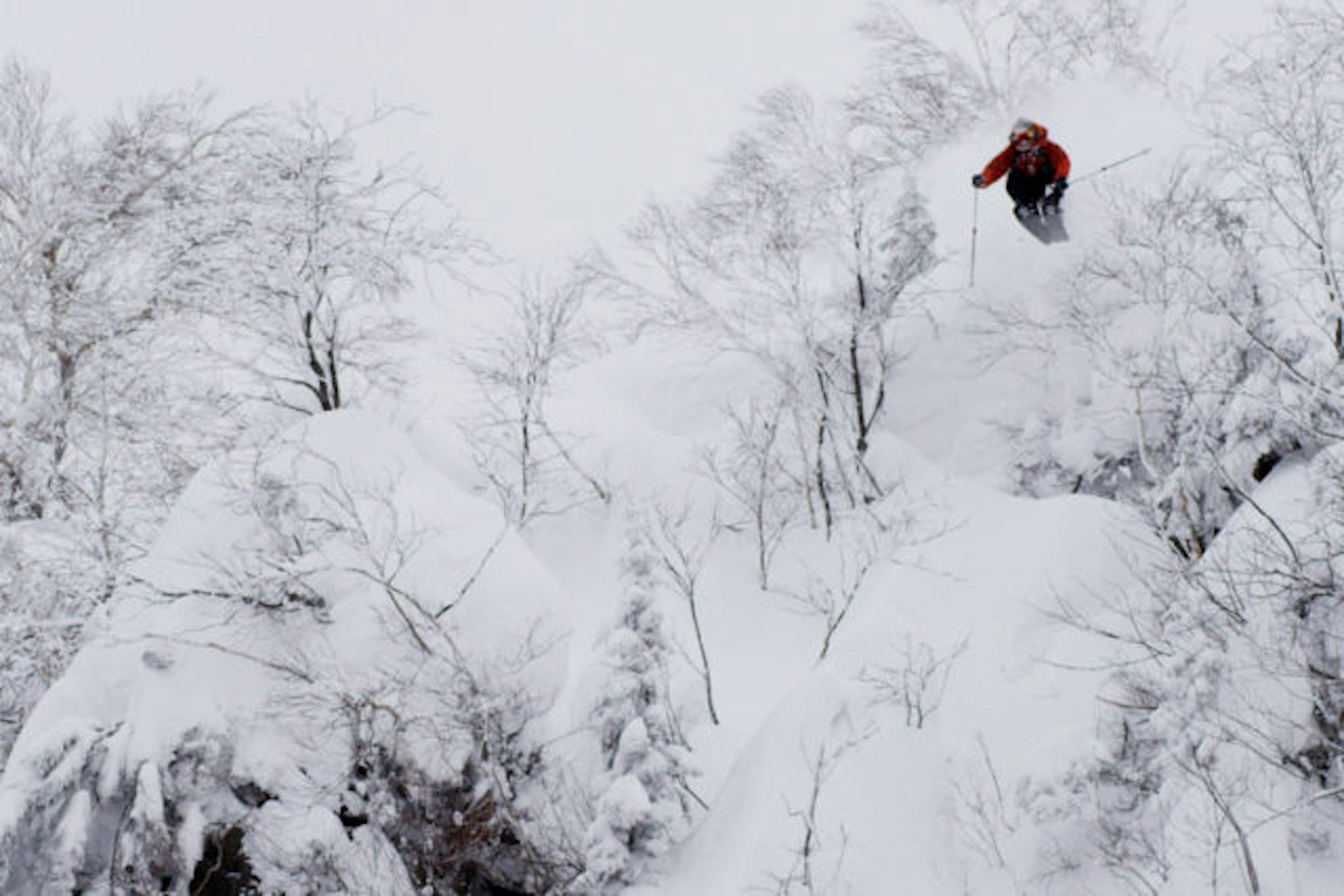 DPS_Dreamtime_Featured