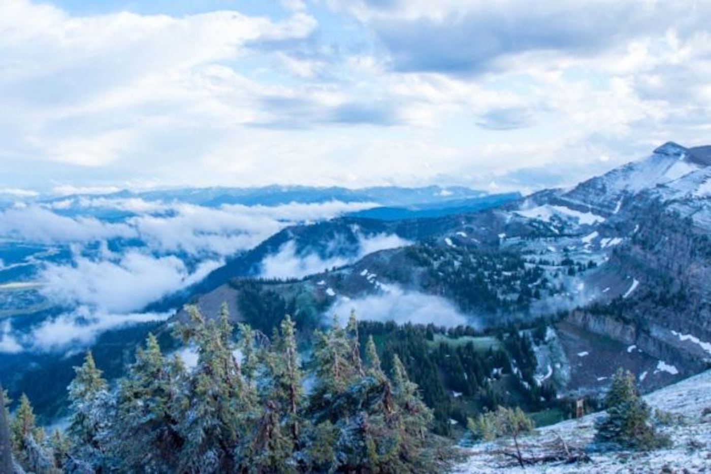 BTE-5533-768x512 (1)