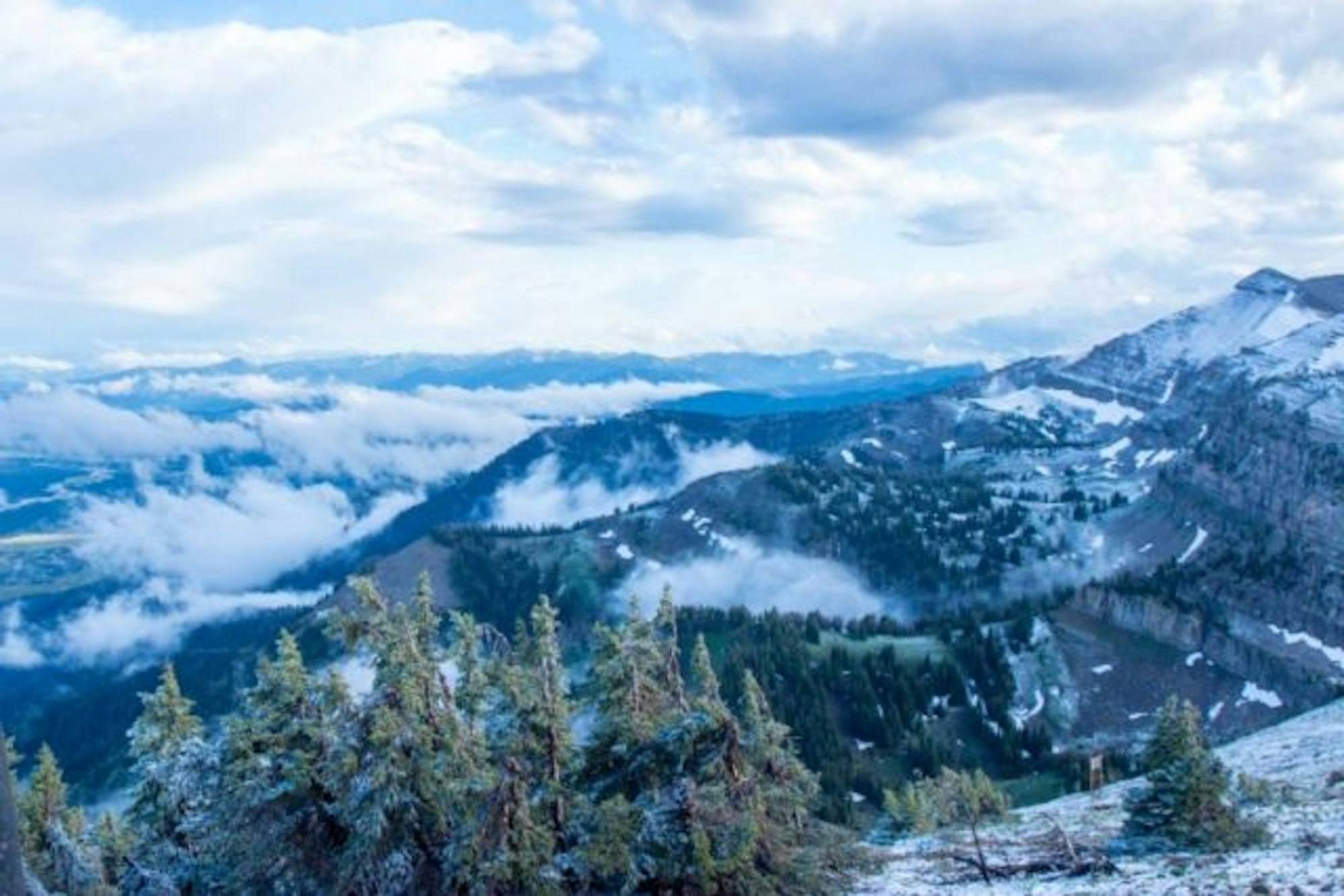 BTE-5533-768x512 (1)