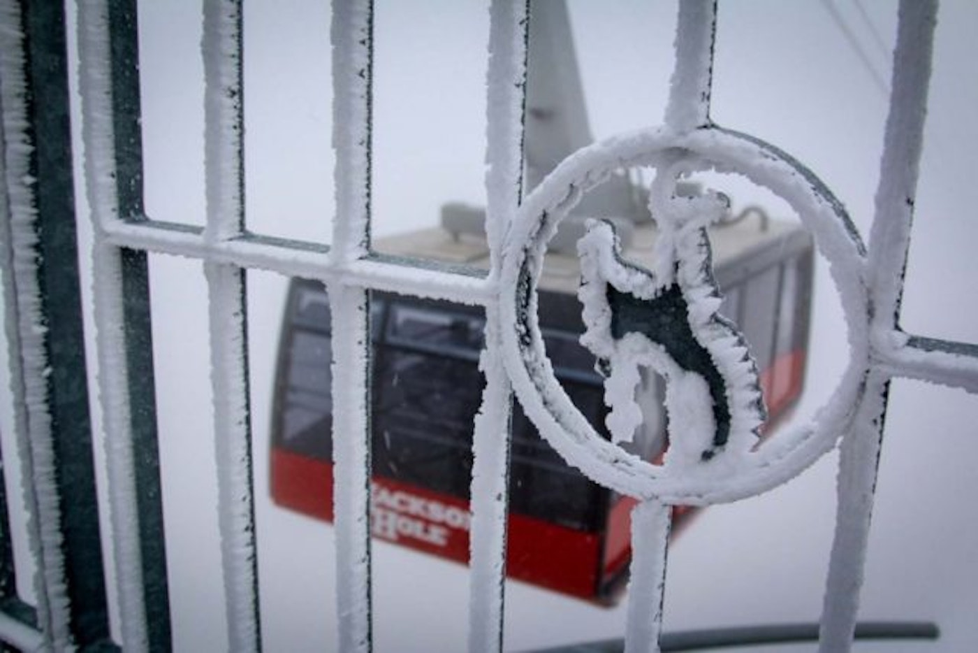 snow-july-20160711-AS-4040-2-768x512