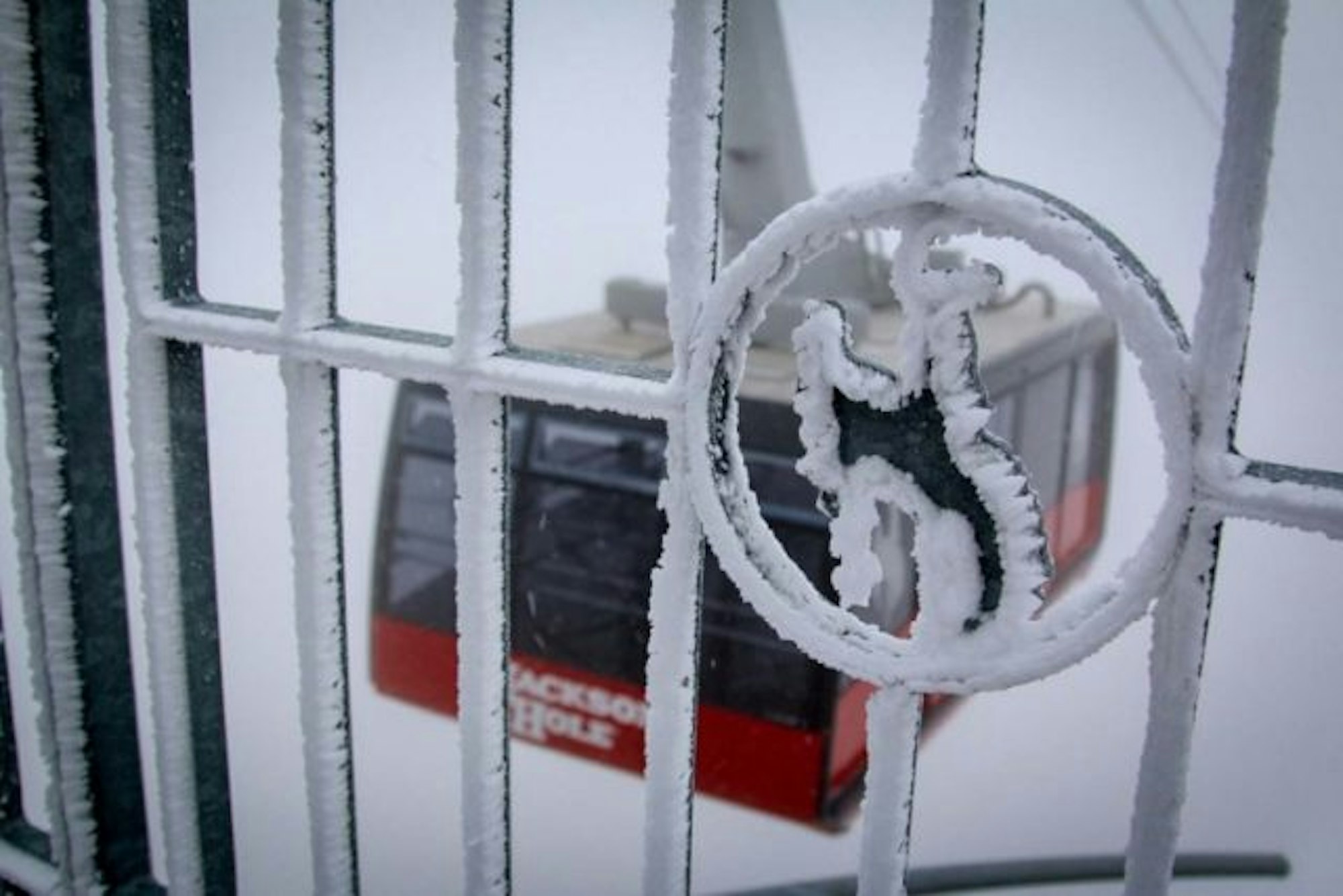 snow-july-20160711-AS-4040-2-768x512