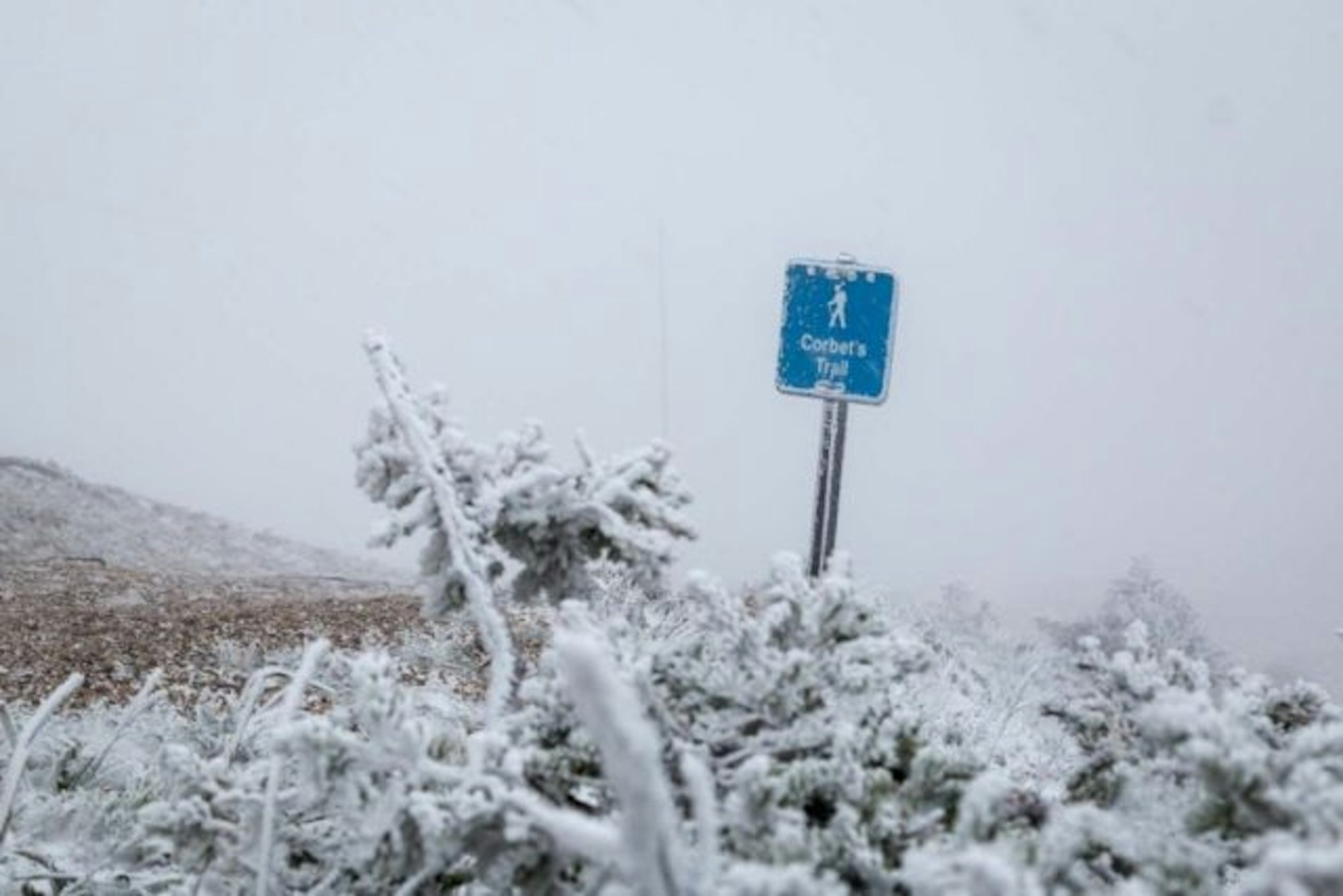 snow-july-20160711-AS-4049-1-768x512