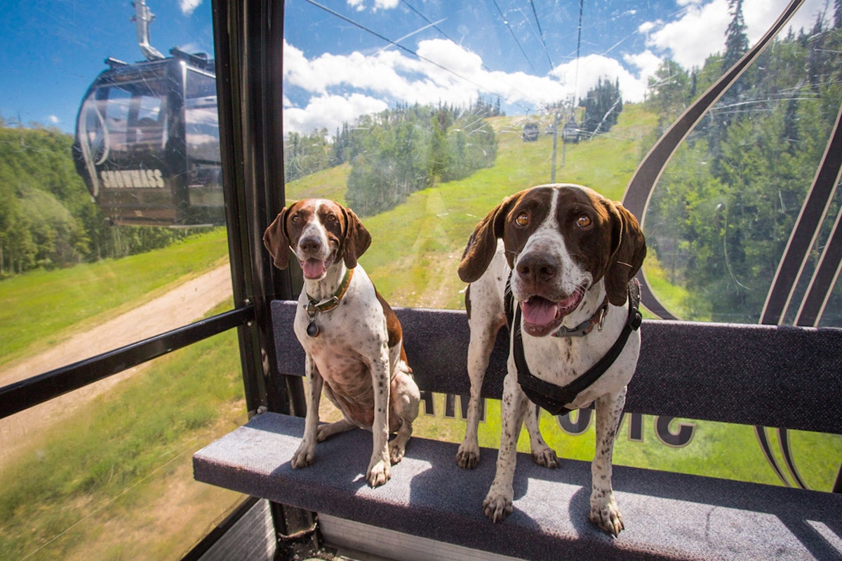 These 11 resorts are ready to rock the (long) Fourth of July weekend