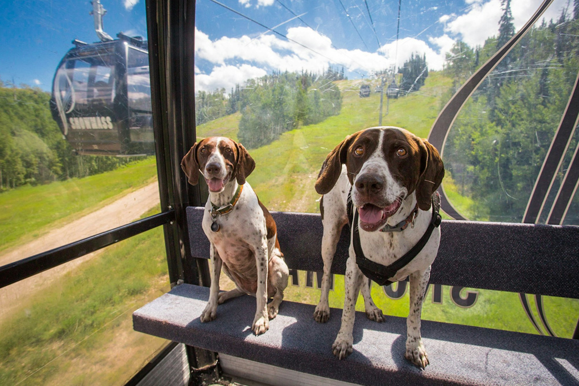 These 11 resorts are ready to rock the (long) Fourth of July weekend