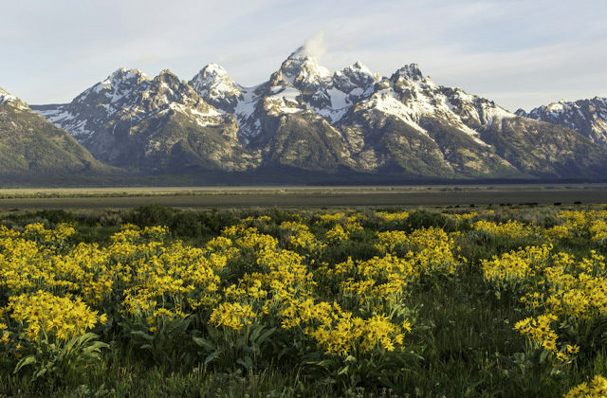 JacksonHole_FourthOfJuly1