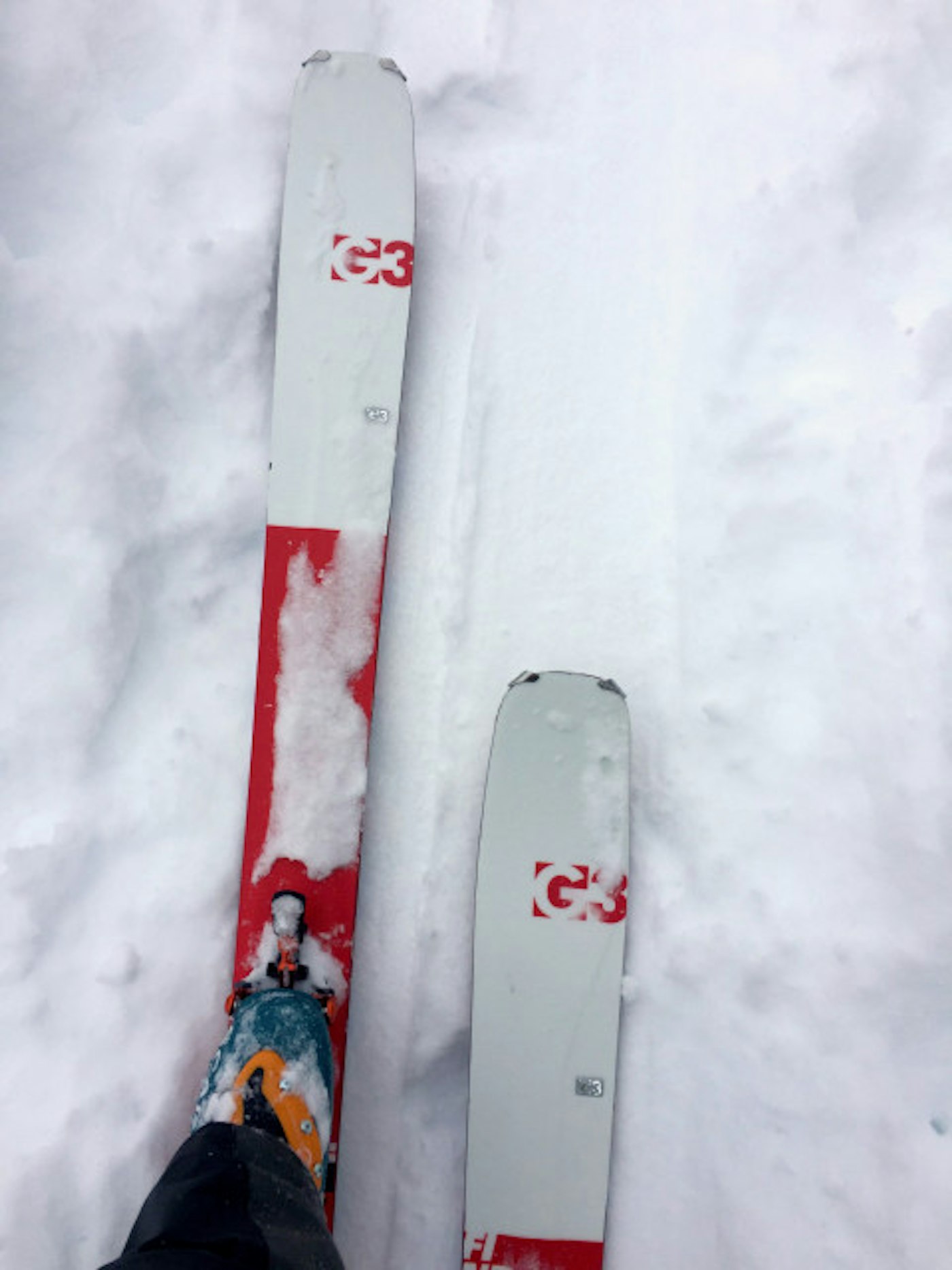 G3-FINDr-Ion12-Scarpa-F1