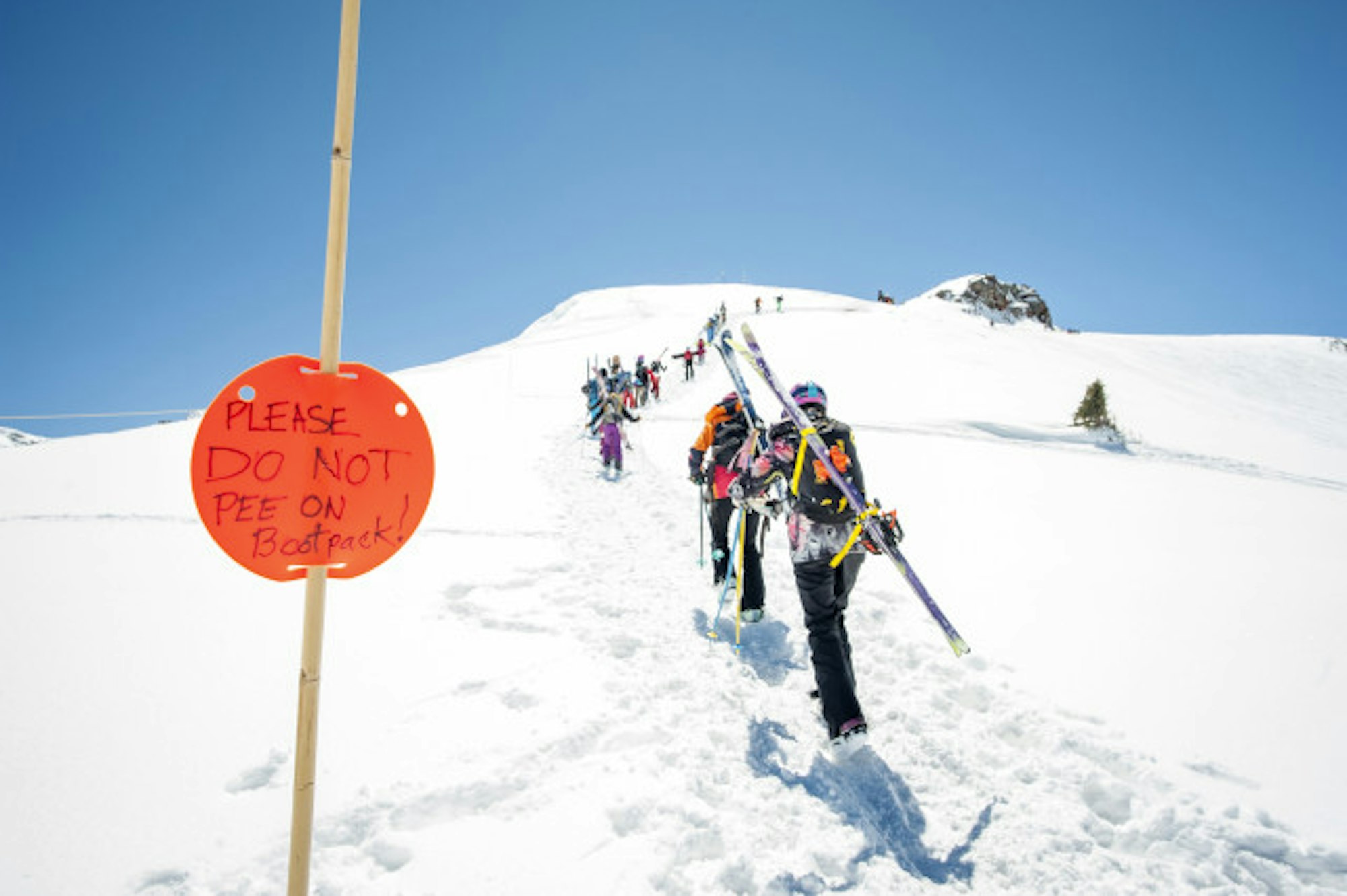 Photo by Crystal Sagan @tomgirlphoto