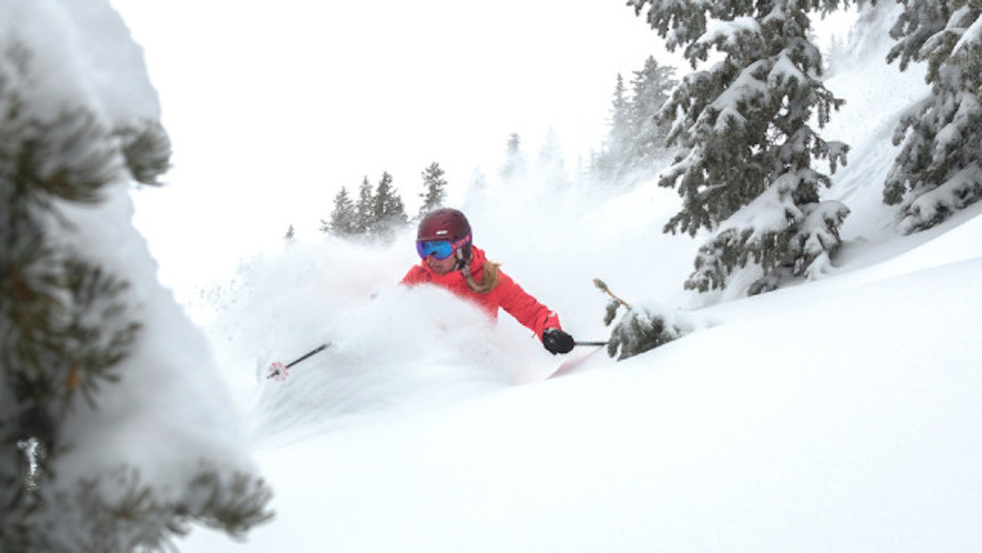 Snowbird March 29 2016