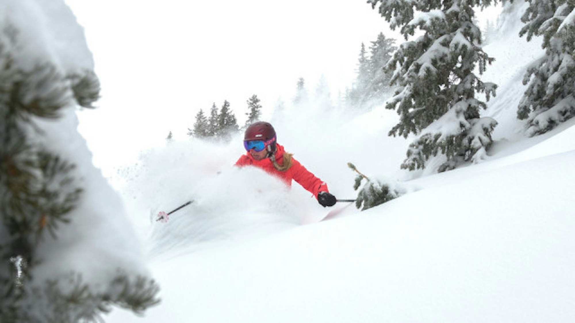 Snowbird March 29 2016