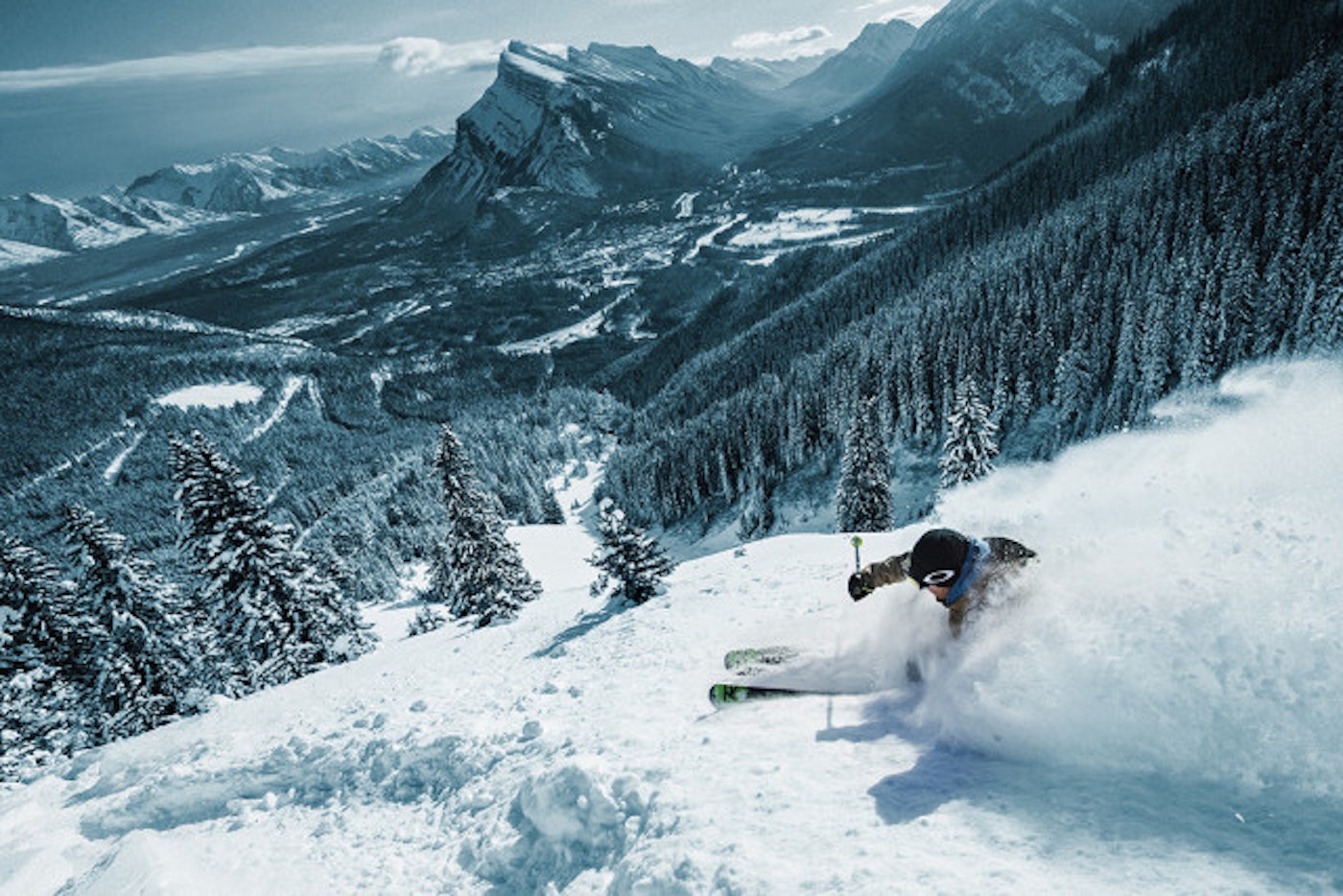 The Mountain Collective