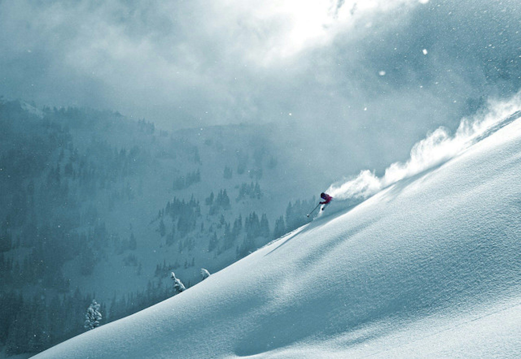 The Mountain Collective