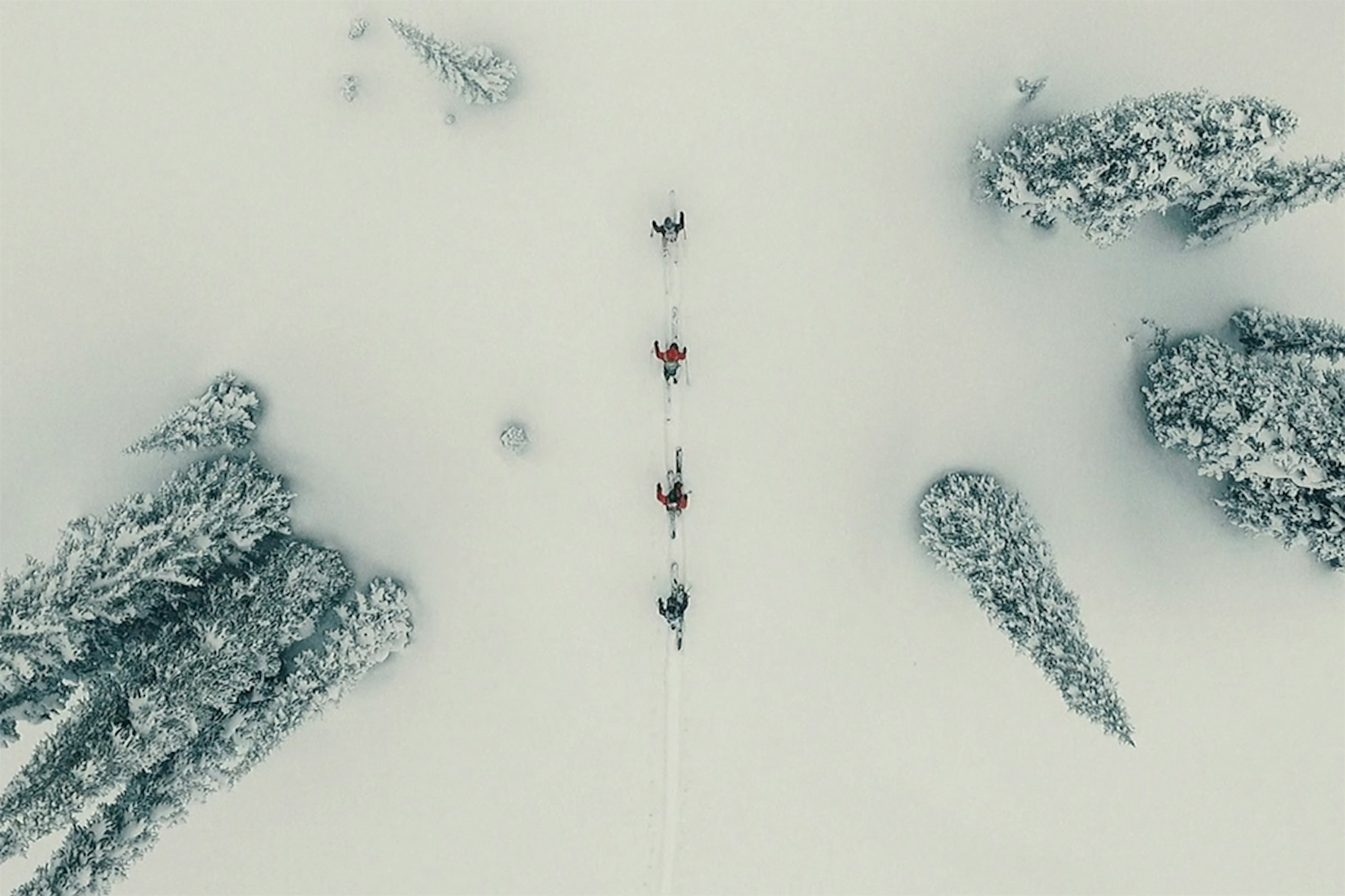 Smells Like Teen Spirit; Your favorite Canadians are dropping hammers in “Seeking Nirvana”