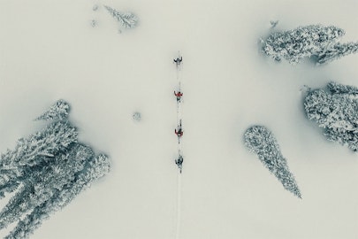 Smells Like Teen Spirit; Your favorite Canadians are dropping hammers in “Seeking Nirvana”