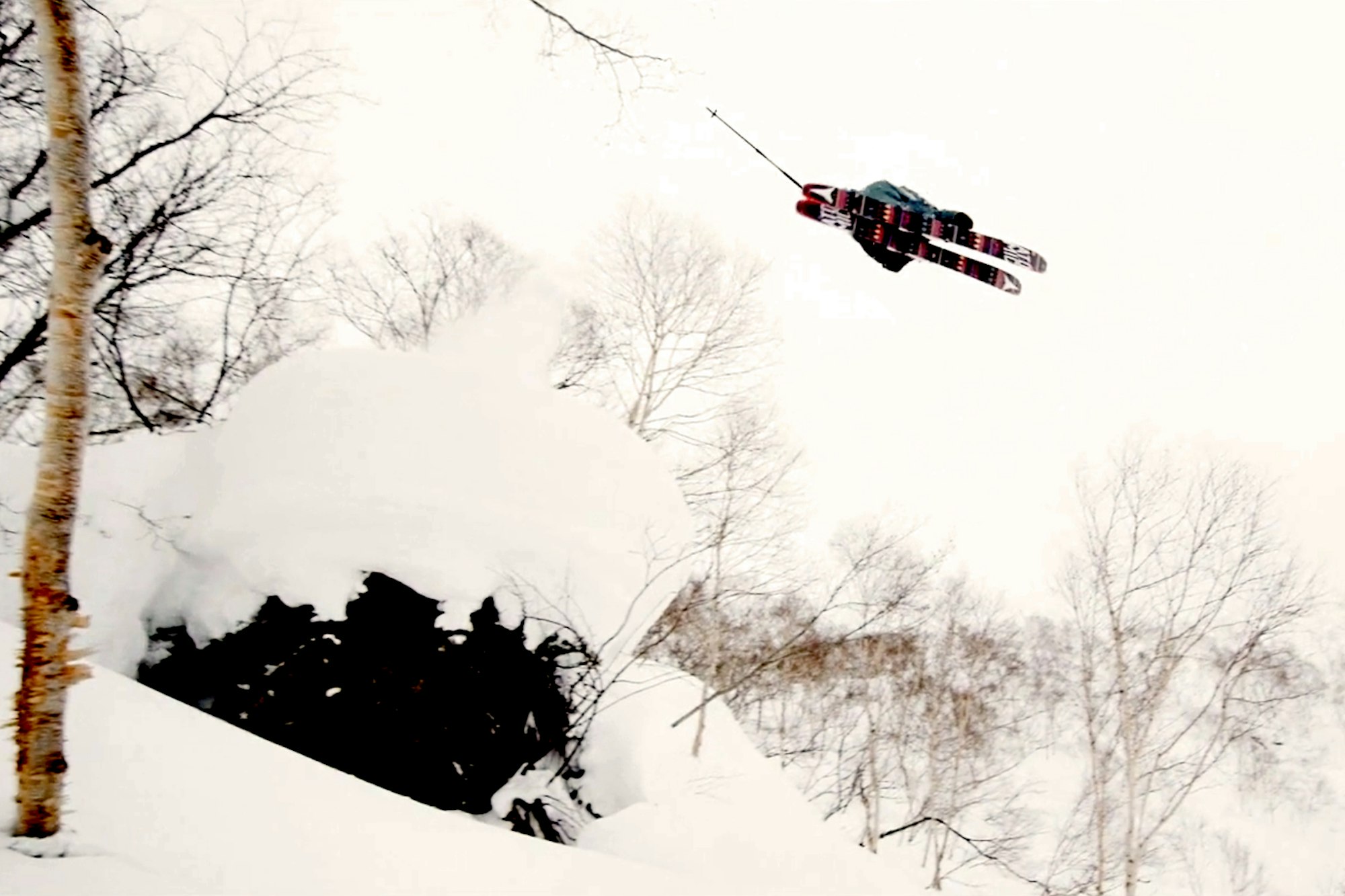 Japan, Korea, Colorado, Minnesota, New England — The Coterie samples it all in "We Trust Your Judgment"