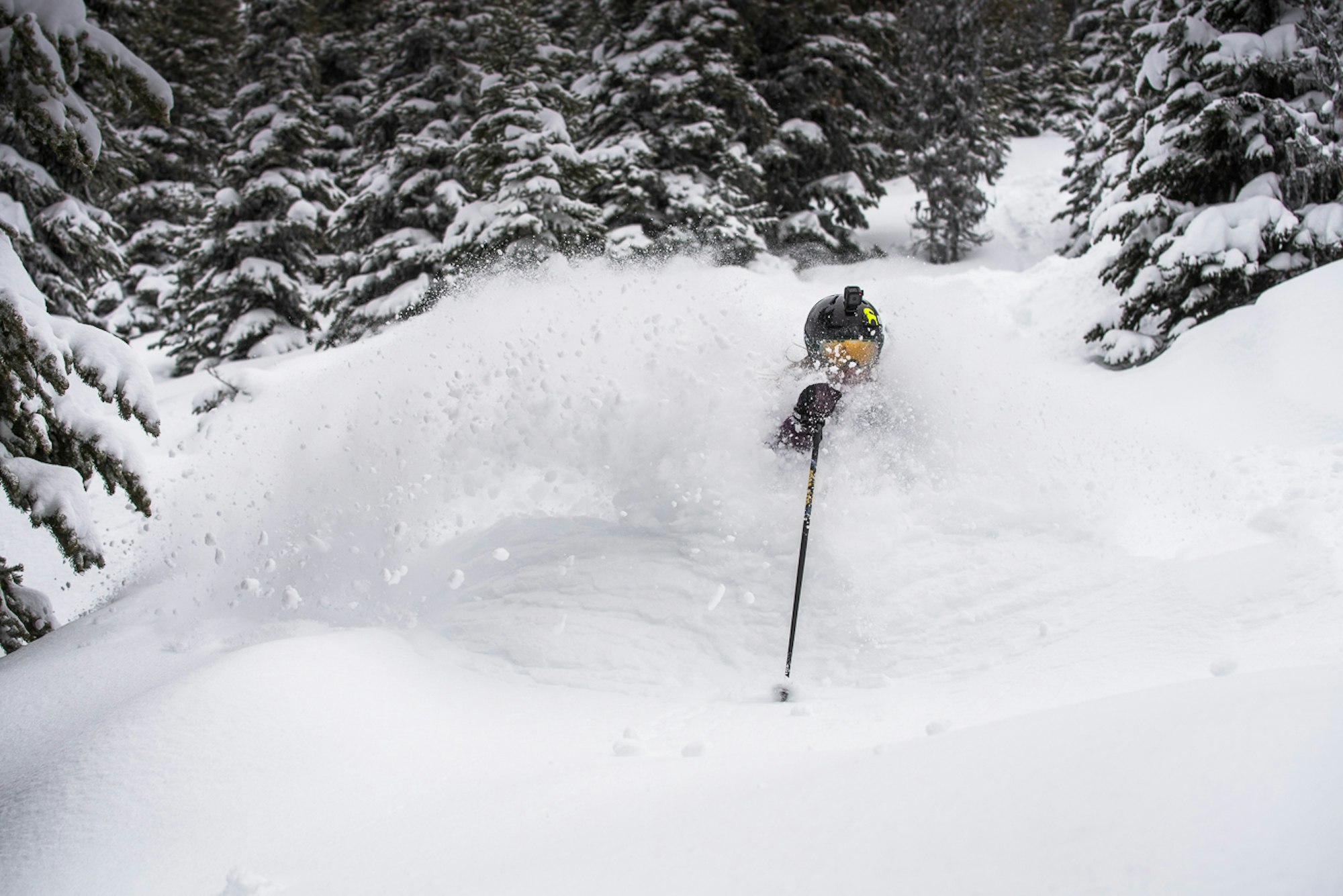 Pow Alert: Has Old Man Winter returned or is he just teasing us?