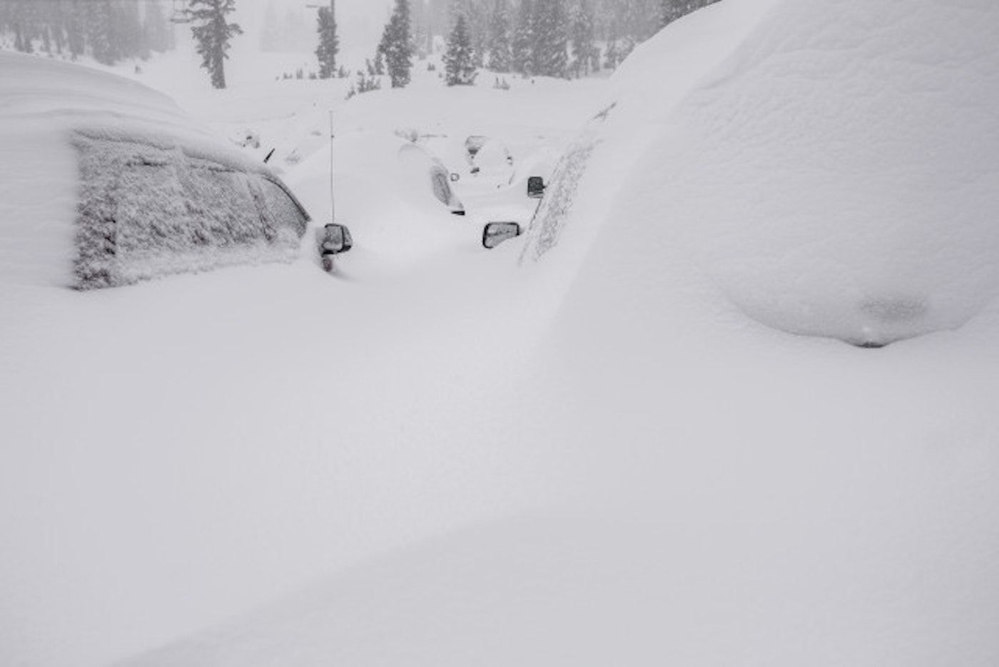 2016-03-06_NEW_SNOW_PMM_545_2