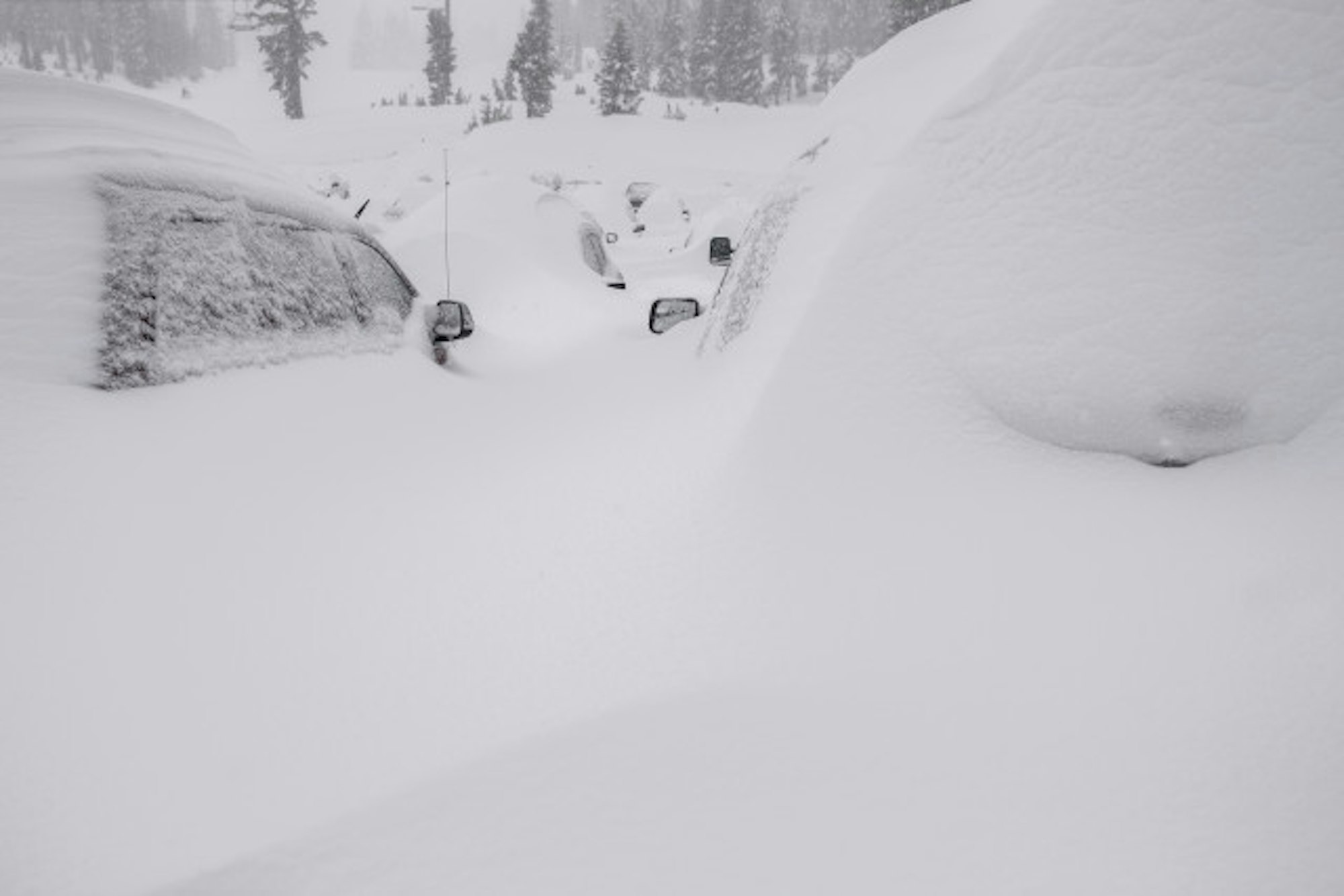 2016-03-06_NEW_SNOW_PMM_545_2