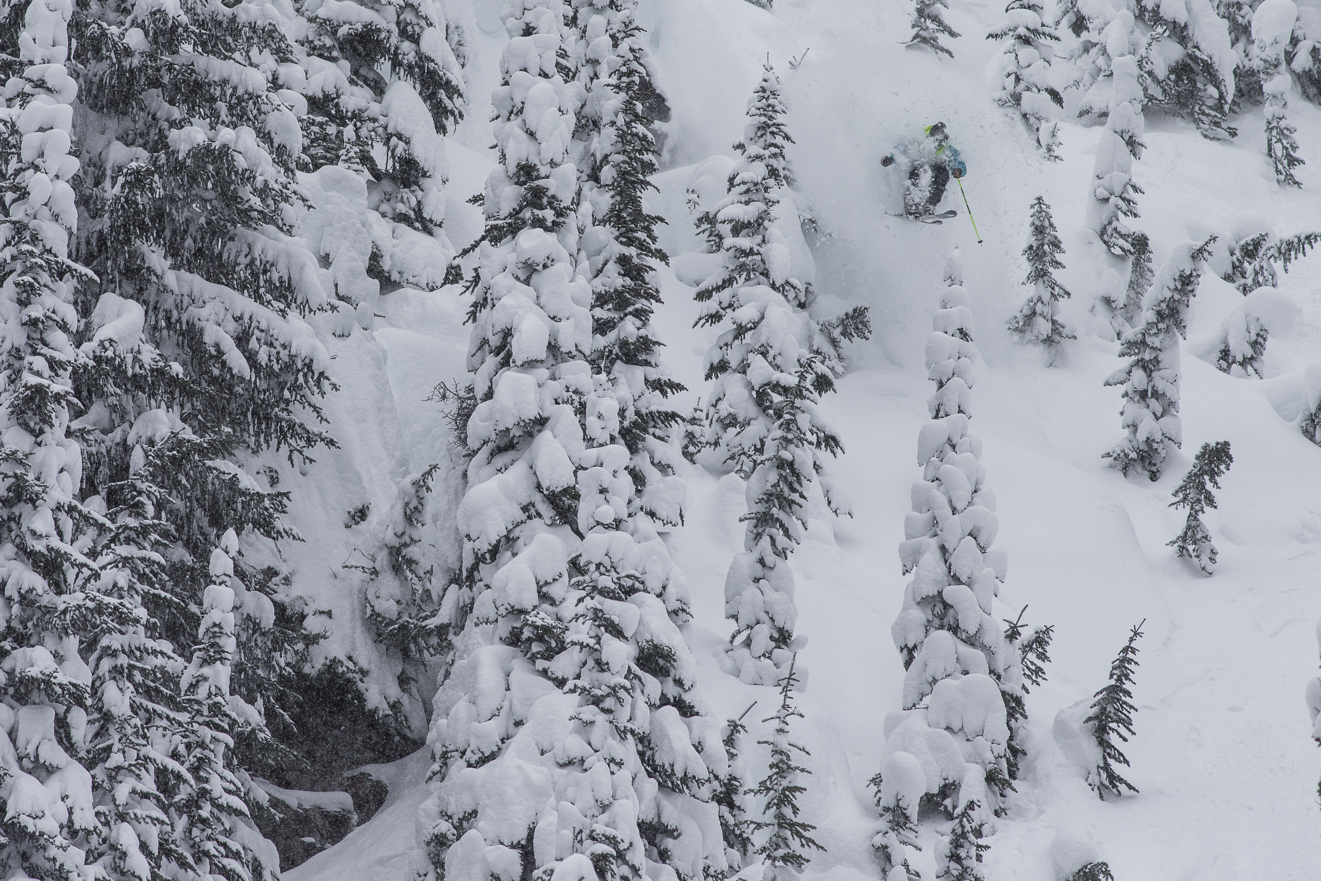 Pow Alert: The Niño roars back into California