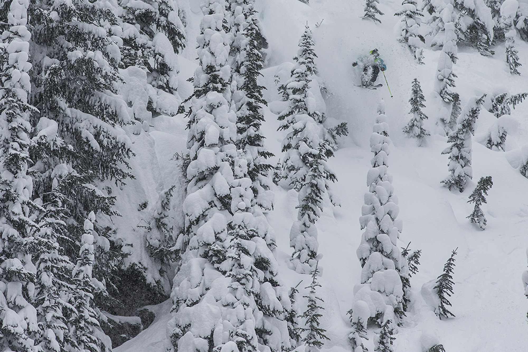 Gallery: Red Bull Cold Rush athletes score a deep pow day following slopestyle cancellation