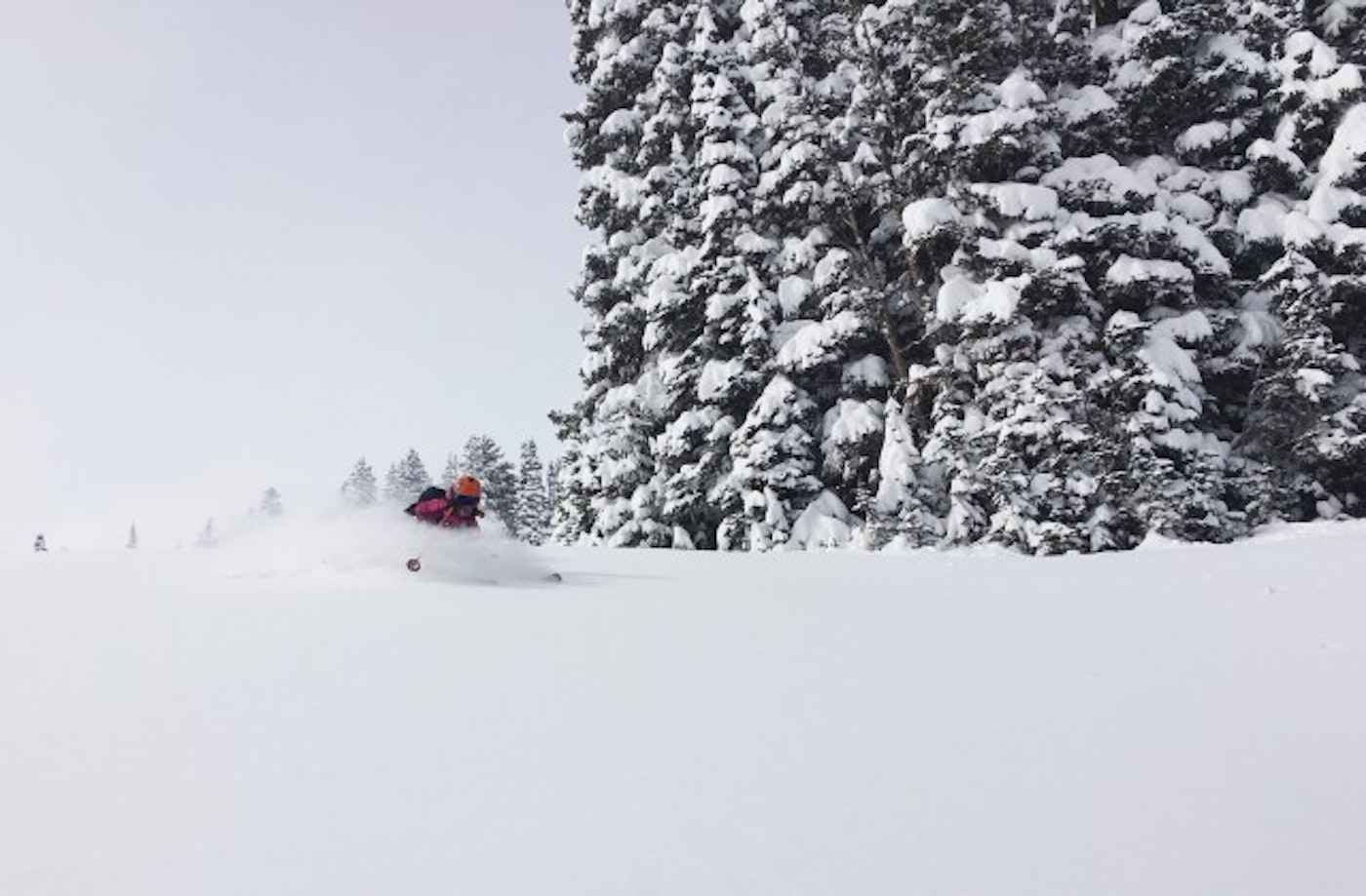 2016-02-02 13.06.24-1