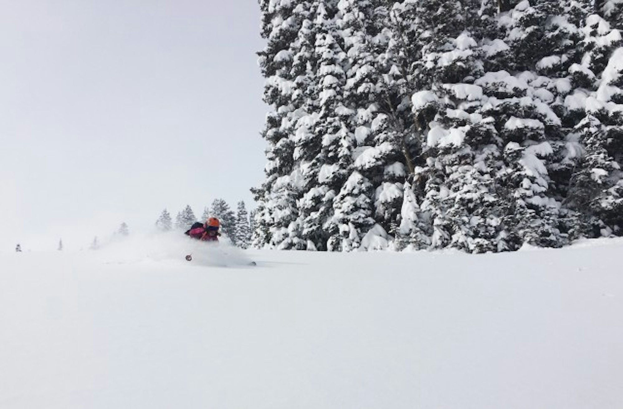 2016-02-02 13.06.24-1