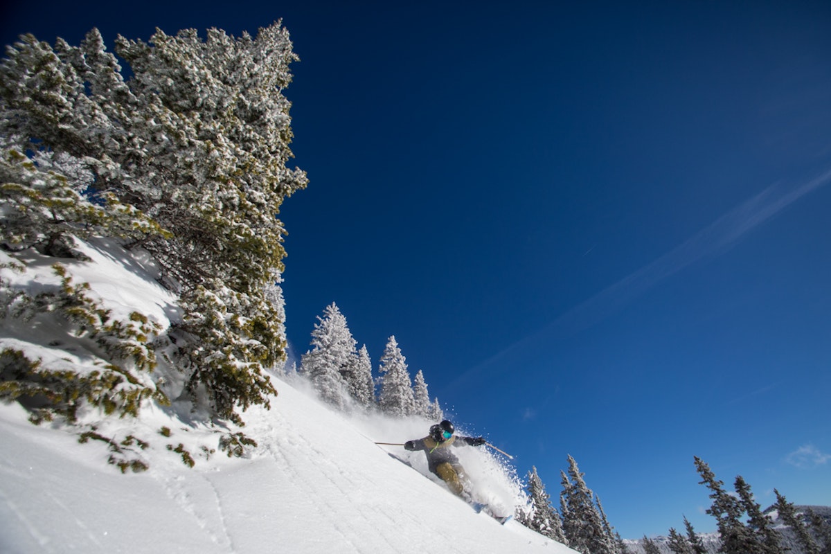 Monarch Snowcat Guides: First tracks on the road less traveled