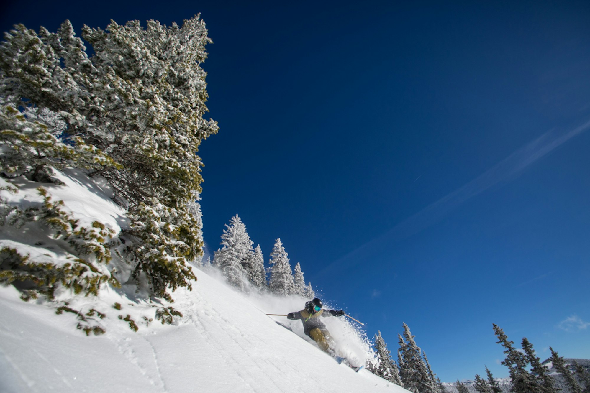 Monarch Snowcat Guides: First tracks on the road less traveled