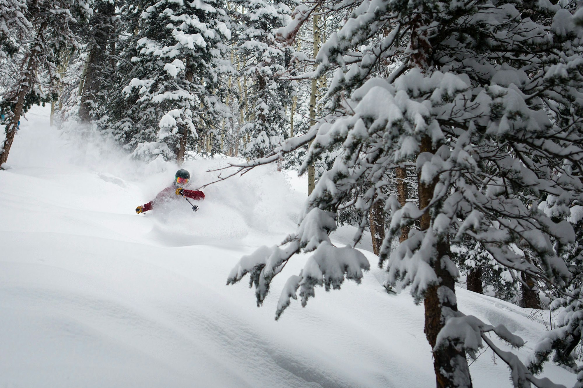 Pow Alert: A refresh in store for Whistler Blackcomb, Mount Hood Meadows and Stevens Pass this week
