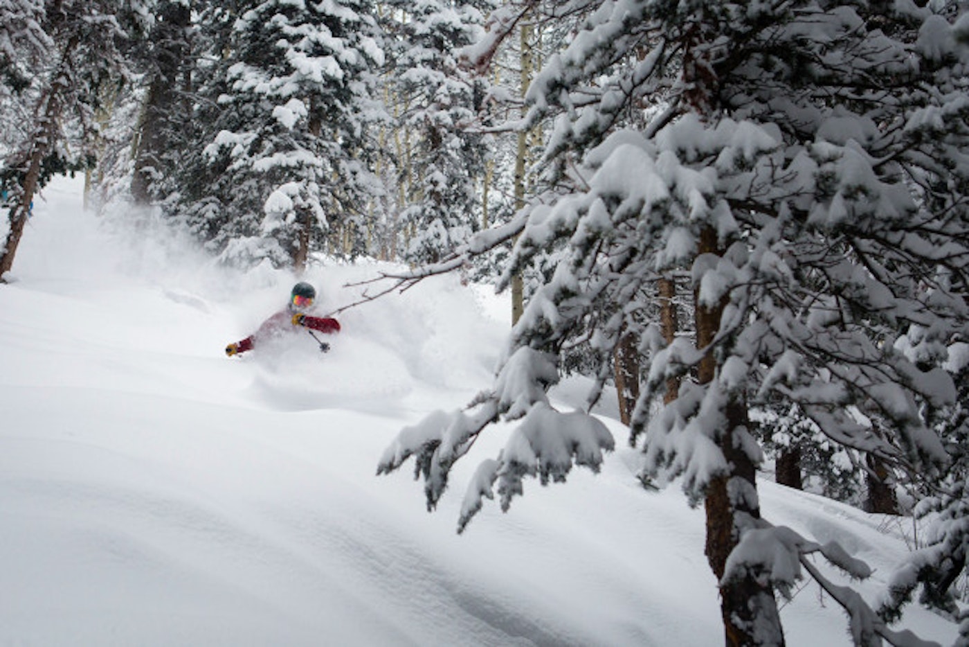Aspen Snowmass January 31, 2016 powder skiing