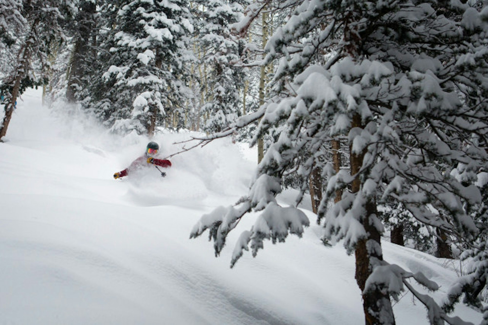 Aspen Snowmass January 31, 2016 powder skiing