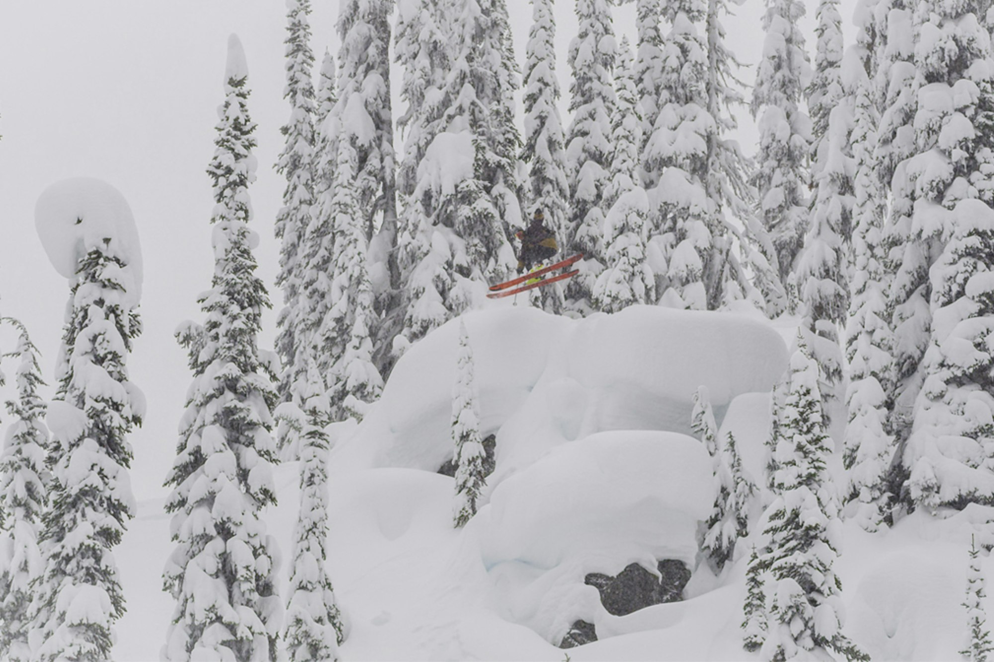 [Teaser] Mark February 9 on your calendar, because "Seeking Nirvana" is coming