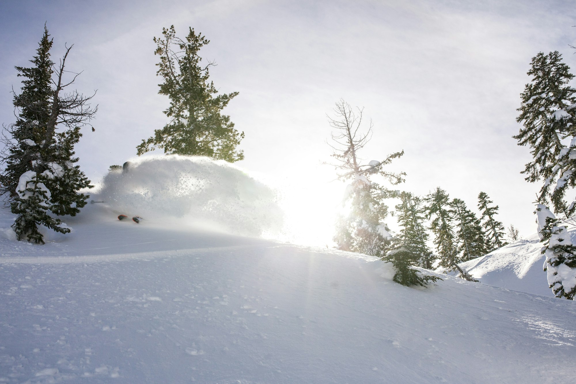 Pow Alert: Squaw Valley Alpine Meadows, Whistler Blackcomb, Stevens Pass expecting big snow this week
