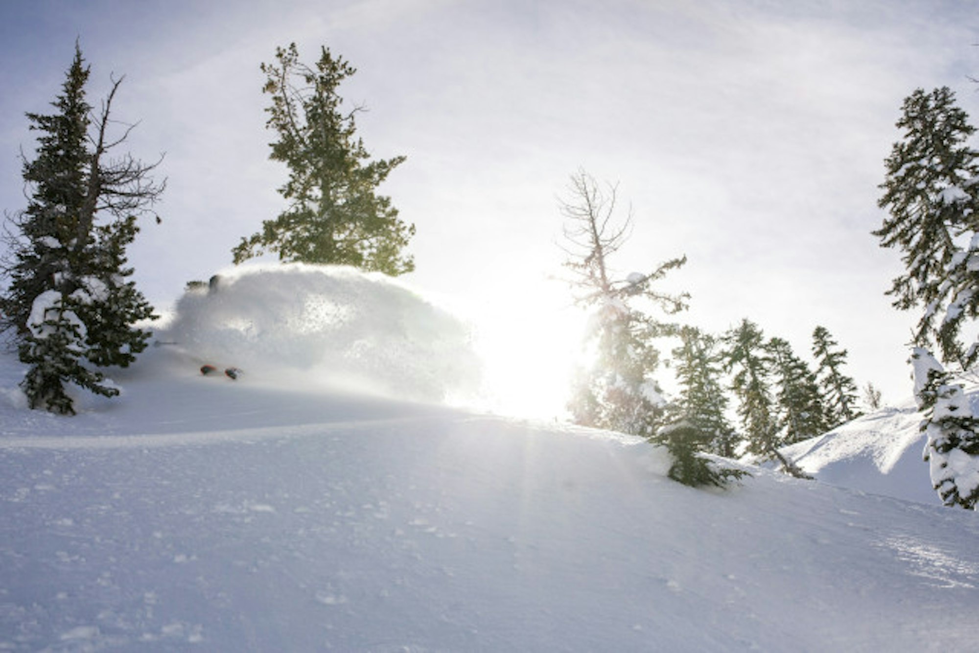 Squaw Valley powder skiing