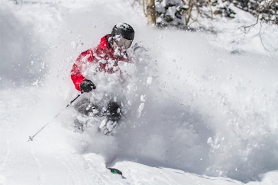 Pow Alert: Suit up—it's going to snow everywhere this week
