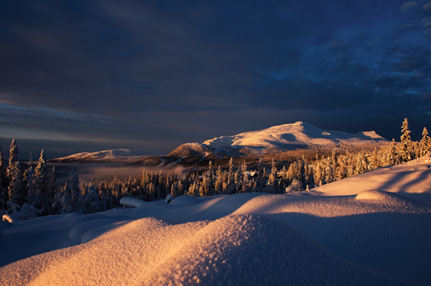 Photo by Mattias Fredriksson