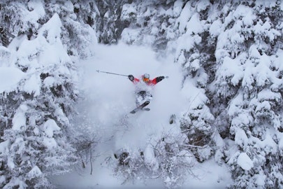 Trailer: "The Sammy C Project" is going to blow your mind