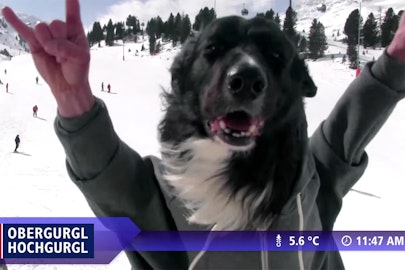 Must Watch: Ski resort releases hilarious webcam photobombs from 2015