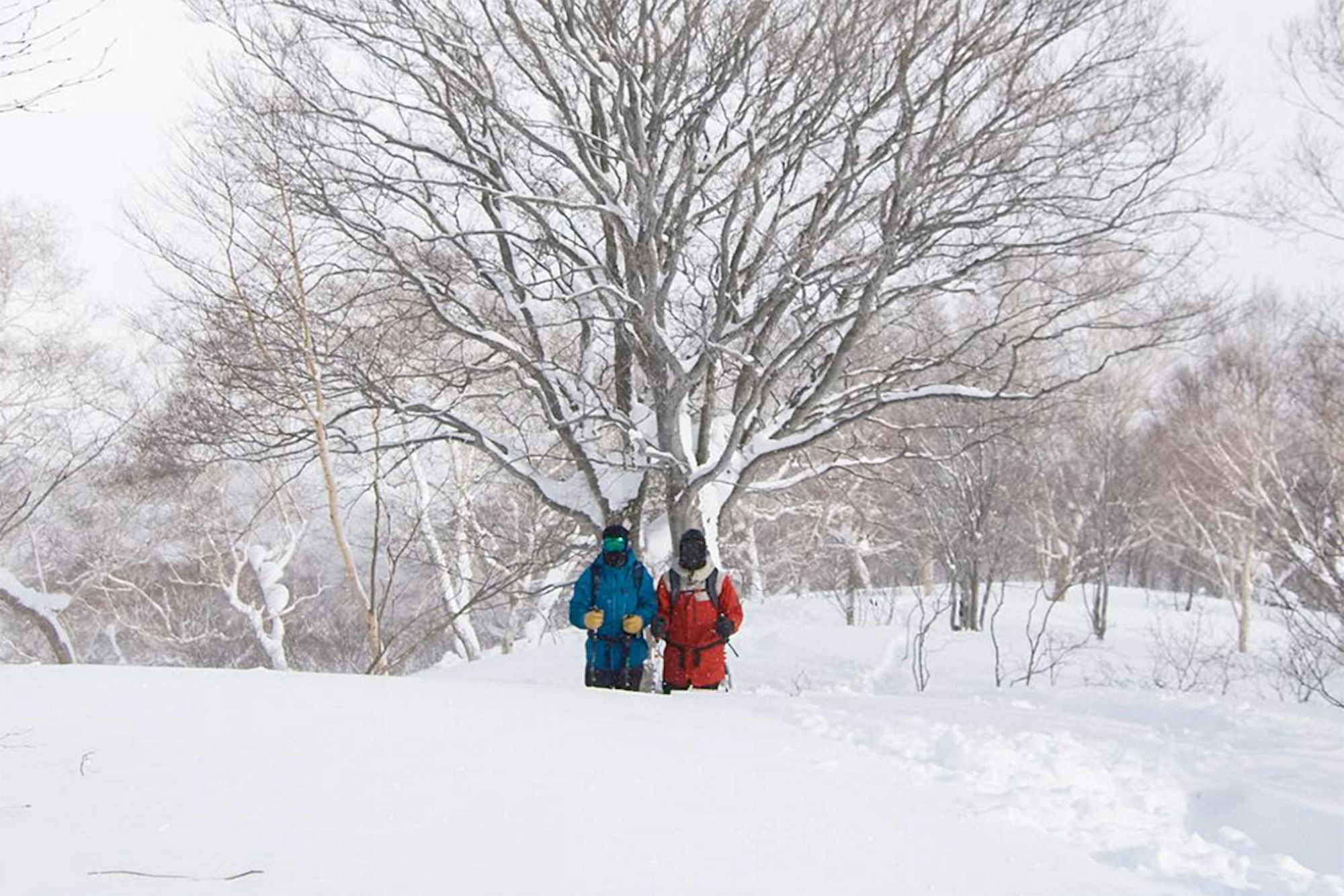 Enter to win a trip to Japan with Line Skis, evo and Eric Pollard