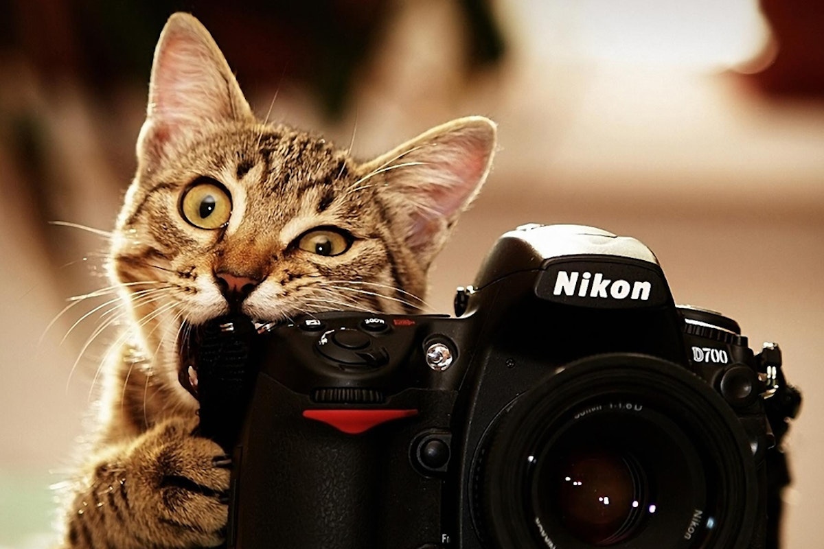 Poll: Who is your favorite ski photographer?