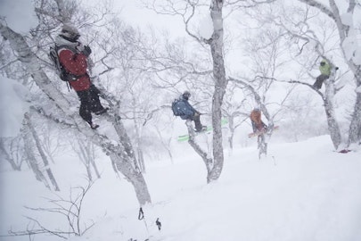 Nimbus Independent's film "After the Sky Falls" is now available for digital download