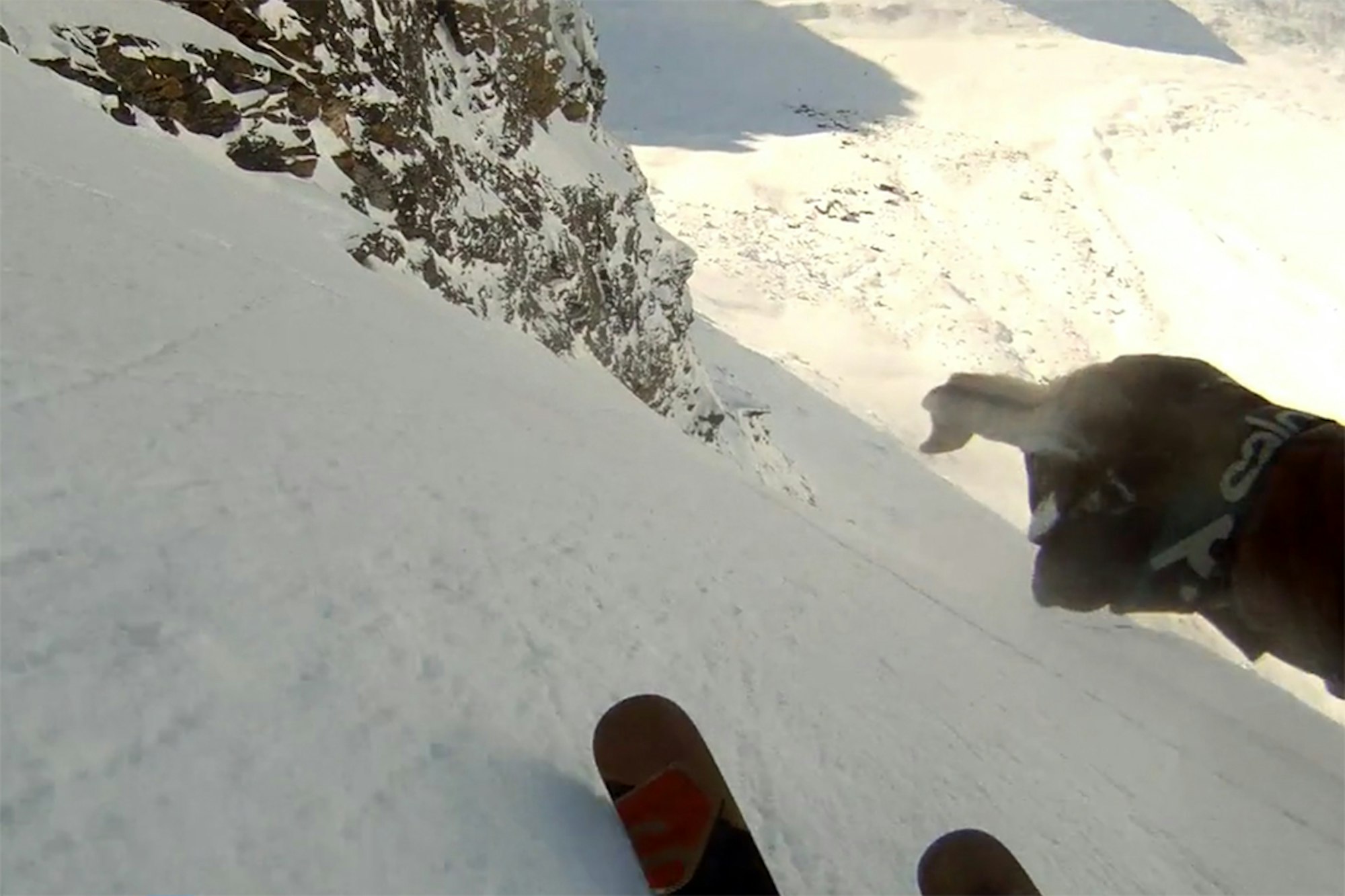 Andreas Fransson and Morgan Salén ski beautiful lines in the Lyngen Alps