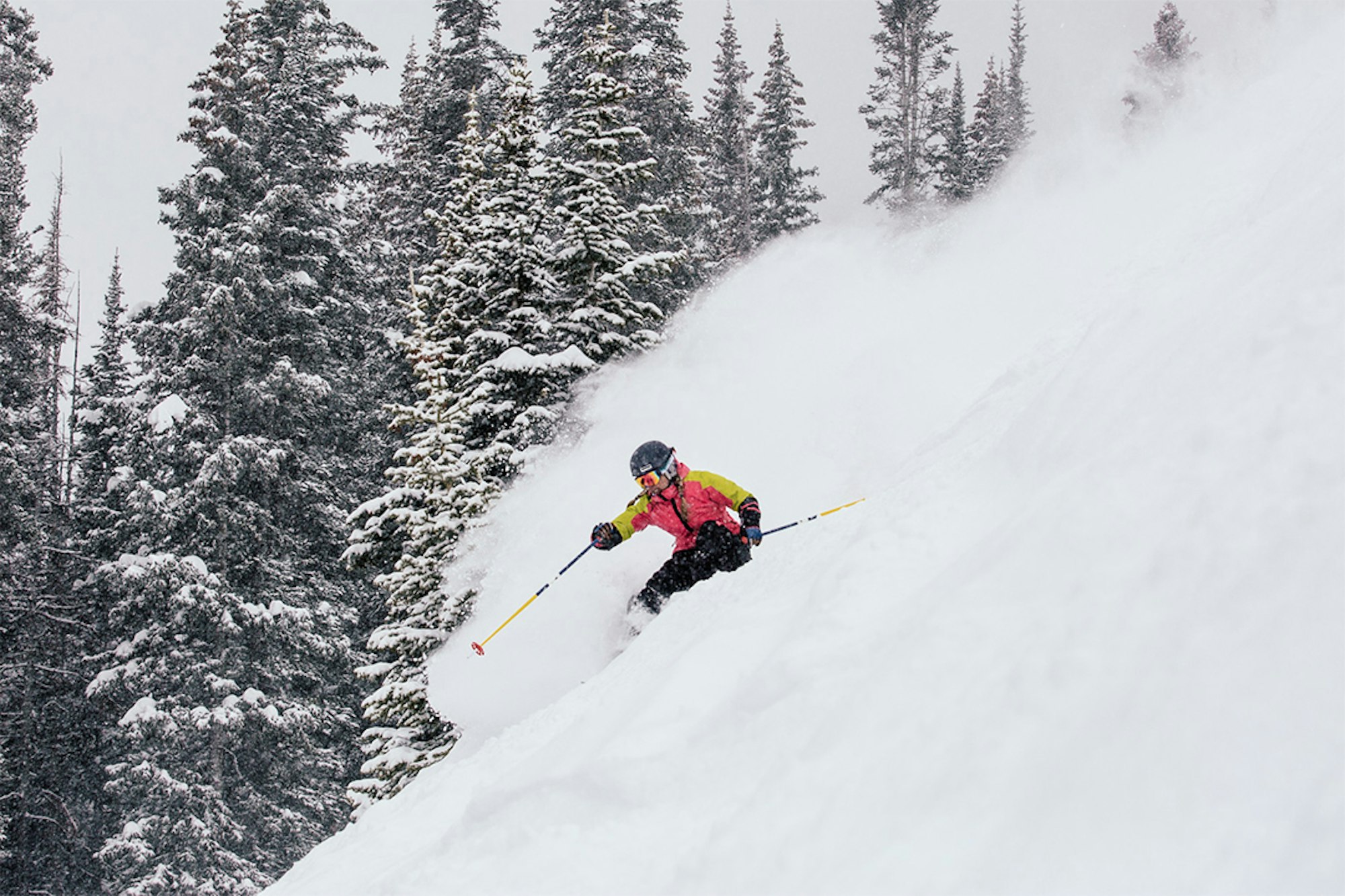 The best women's skis of 2016