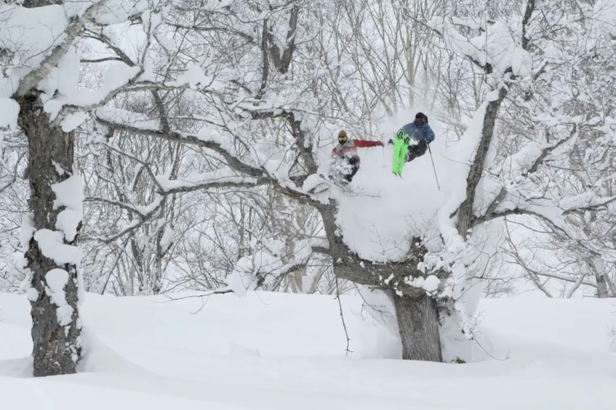 Nimbus Independent roars back into the spotlight with trailer for "When The Sky Falls"